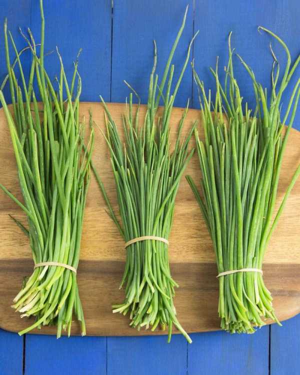 How-to-Freeze-Fresh-Chives-@OmNomAlly.thumb.jpg.9b3c65dca947892e63aadd96ce7cc129.jpg